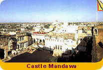 Castle Mandawa