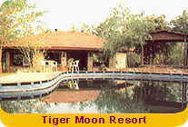 Tiger Moon Resort